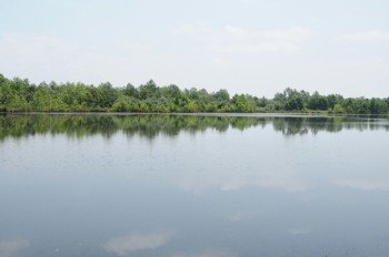 Property photo 8 - 1,025 Acres in 24 Tracts - Exellent Recreation Opportunity - Potential Building Sites - 11 Lakes & Ponds
